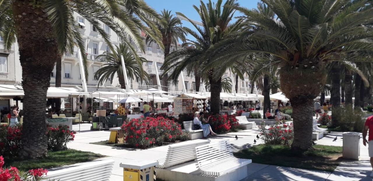 Apartman Oleander Split Bagian luar foto